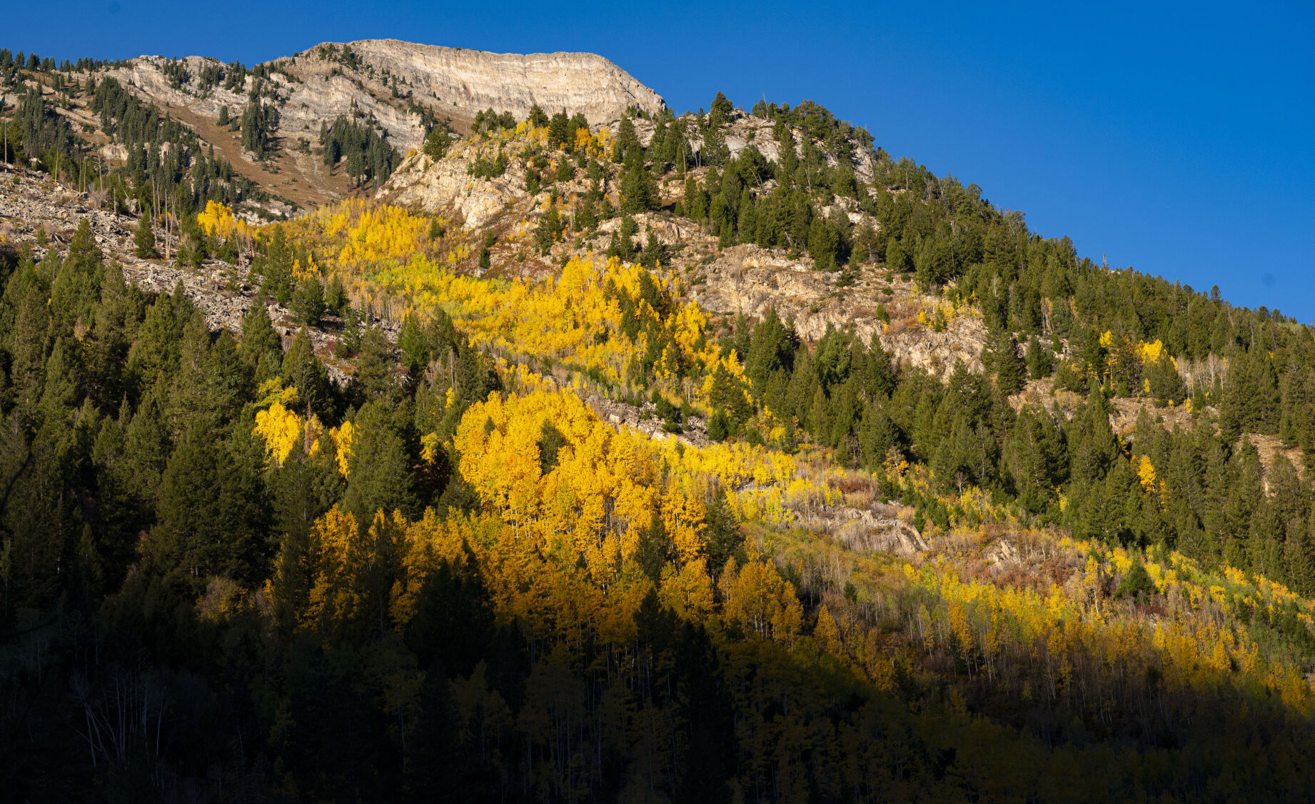 09_29_20 aspens0034.jpg